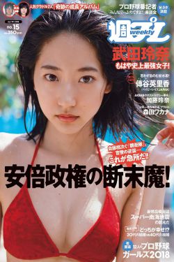 端脑 电视剧